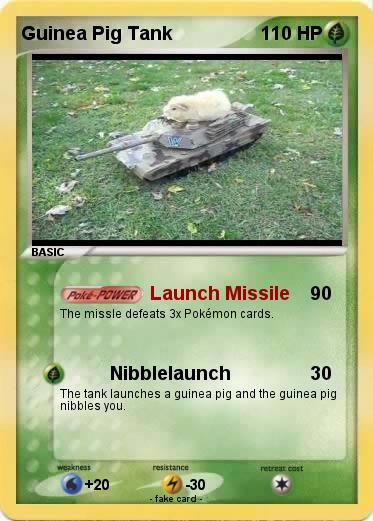 Pokemon Guinea Pig Tank