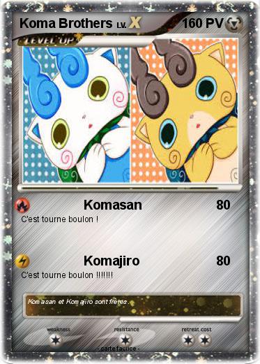 Pokemon Koma Brothers