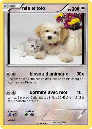 Pokemon mia et toto