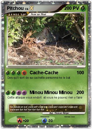 Pokemon Pitchou
