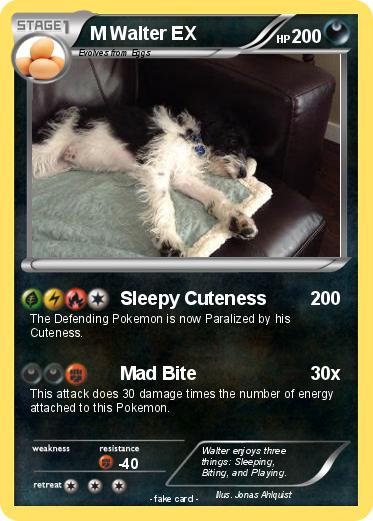 Pokemon M Walter EX