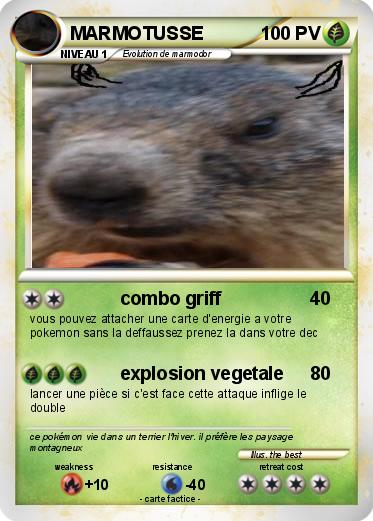 Pokemon MARMOTUSSE