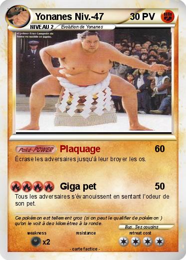 Pokemon Yonanes Niv.-47