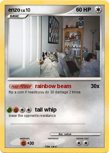 Pokemon enzo