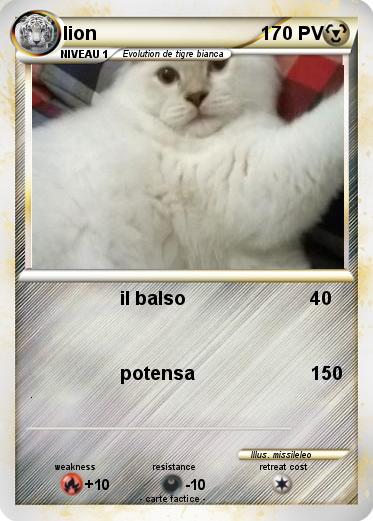 Pokemon lion