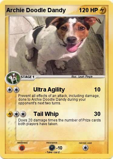 Pokemon Archie Doodle Dandy