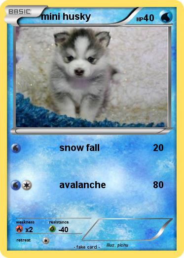 Pokemon mini husky