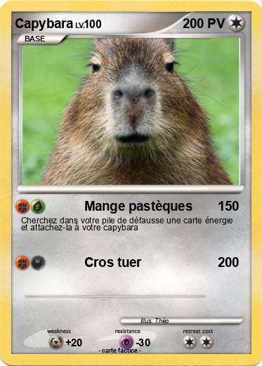 Pokemon Capybara