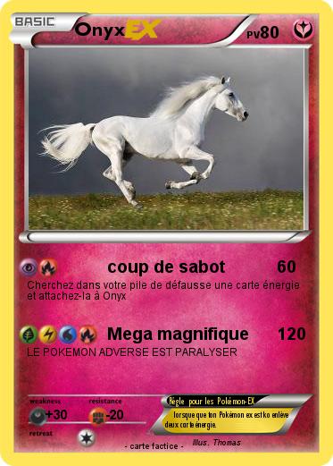 Pokemon Onyx