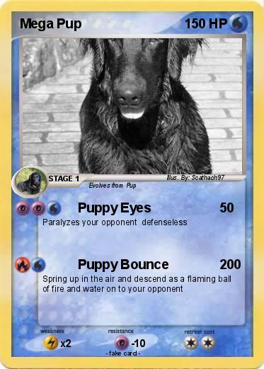 Pokemon Mega Pup