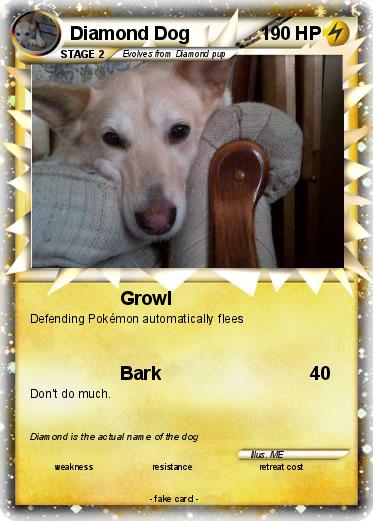 Pokemon Diamond Dog