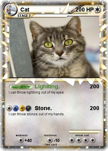 Pokemon Cat