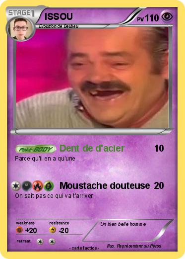 Pokemon ISSOU