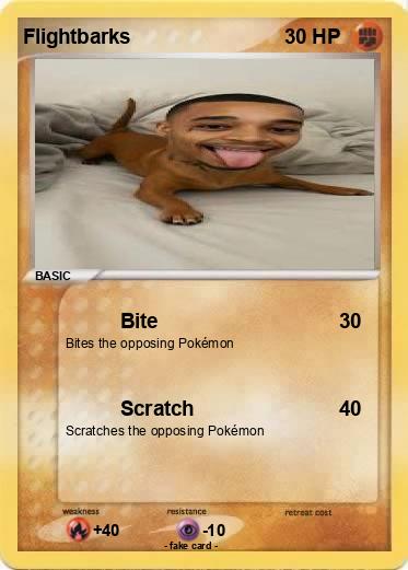 Pokemon Flightbarks