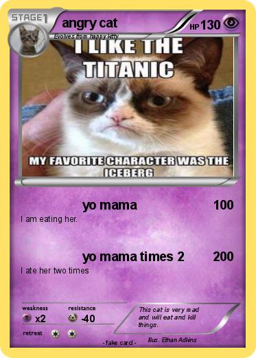 Pokemon angry cat