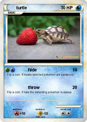 Pokemon turtle
