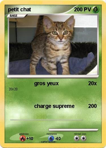 Pokemon petit chat