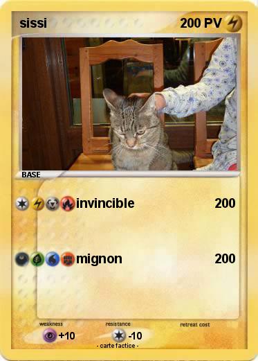 Pokemon sissi