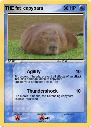 Pokemon THE fat  capybara