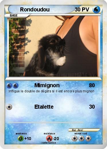 Pokemon Rondoudou