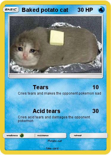 Pokemon Baked potato cat