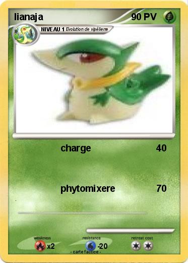 Pokemon lianaja