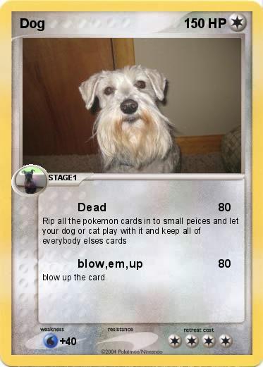 Pokemon Dog