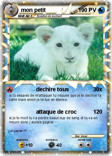 Pokemon mon petit