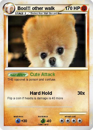 Pokemon Boo!!! other walk