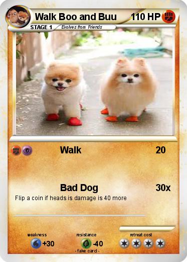 Pokemon Walk Boo and Buu