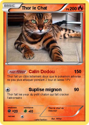 Pokemon Thor le Chat