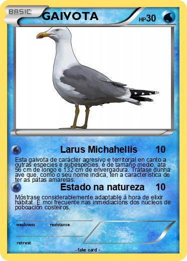 Pokemon GAIVOTA