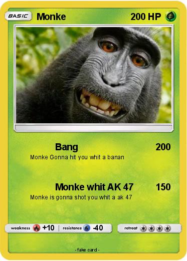 Pokemon Monke
