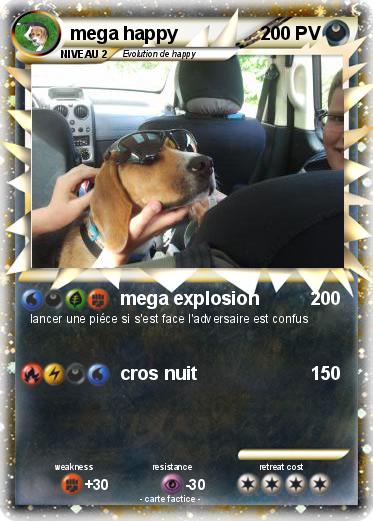 Pokemon mega happy