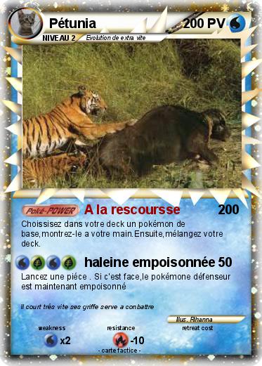 Pokemon Pétunia