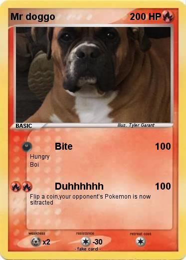 Pokemon Mr doggo