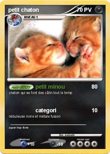Pokemon petit chaton
