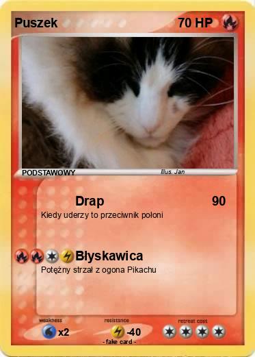 Pokemon Puszek