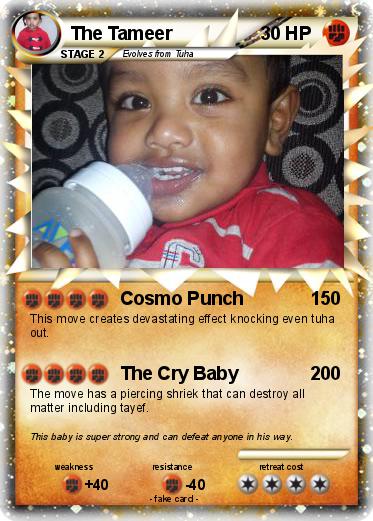 Pokemon The Tameer