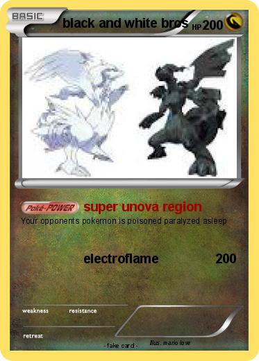 Pokemon black and white bros