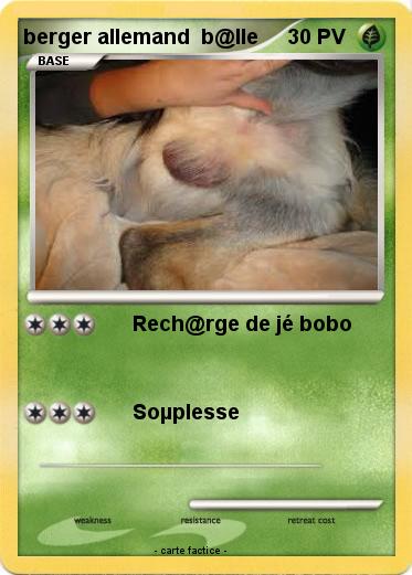 Pokemon berger allemand  b@lle