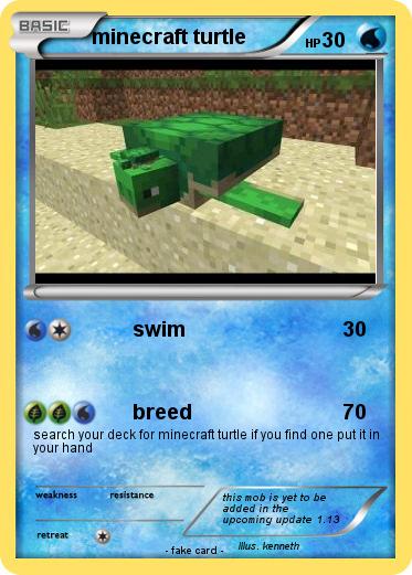 Pokemon minecraft turtle