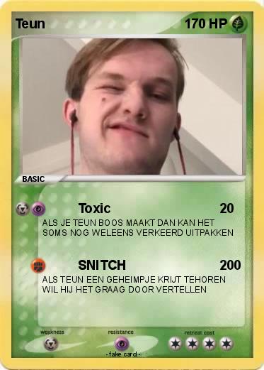 Pokemon Teun