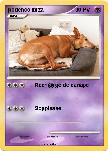 Pokemon podenco ibiza