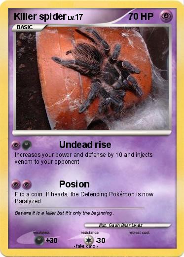 Pokemon Killer spider