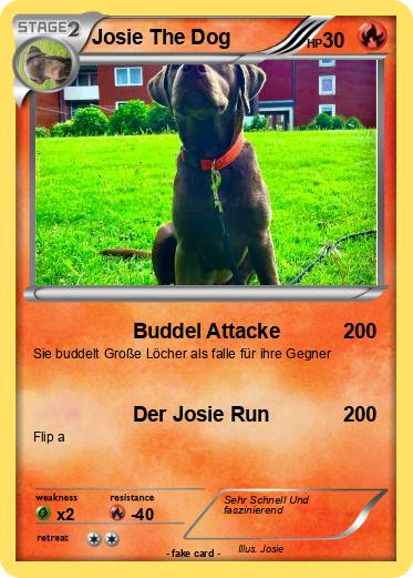 Pokemon Josie The Dog