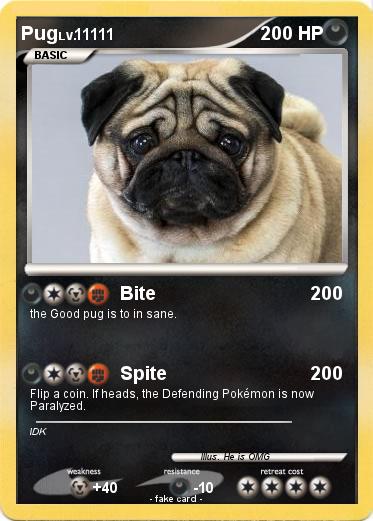 Pokemon Pug