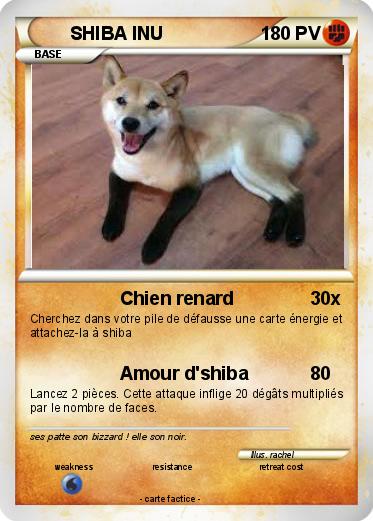 Pokemon SHIBA INU
