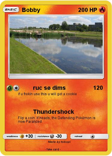 Pokemon Bobby