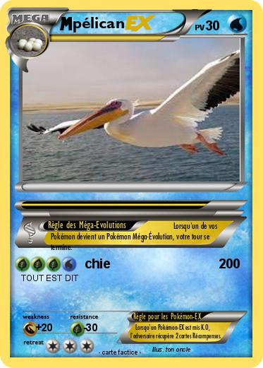 Pokemon pélican